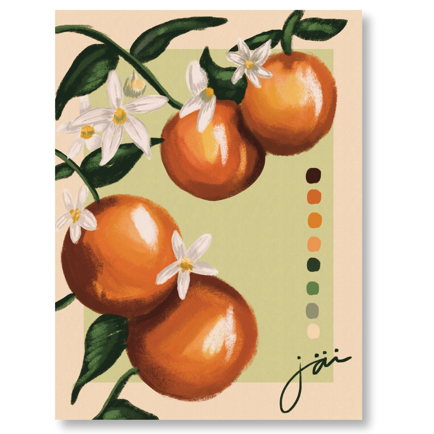 "Oranges Fruit Study" Print