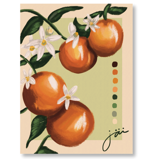 "Oranges Fruit Study" Print
